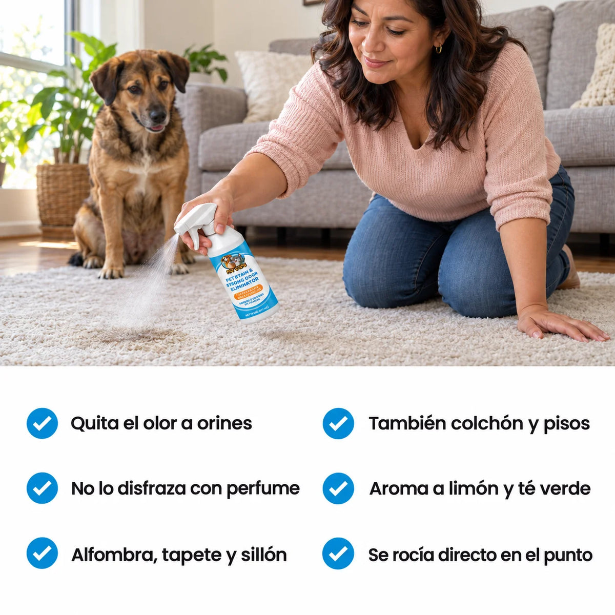 NYVOK™ Spray Quita Manchas y Olor a Orines