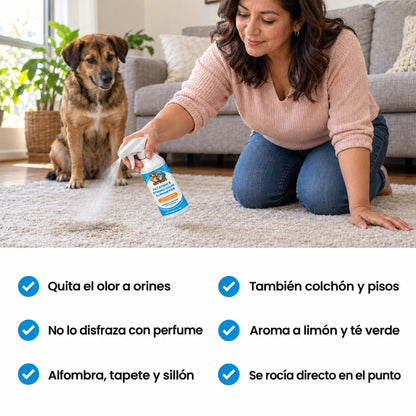 NYVOK™ Spray Quita Manchas y Olor a Orines