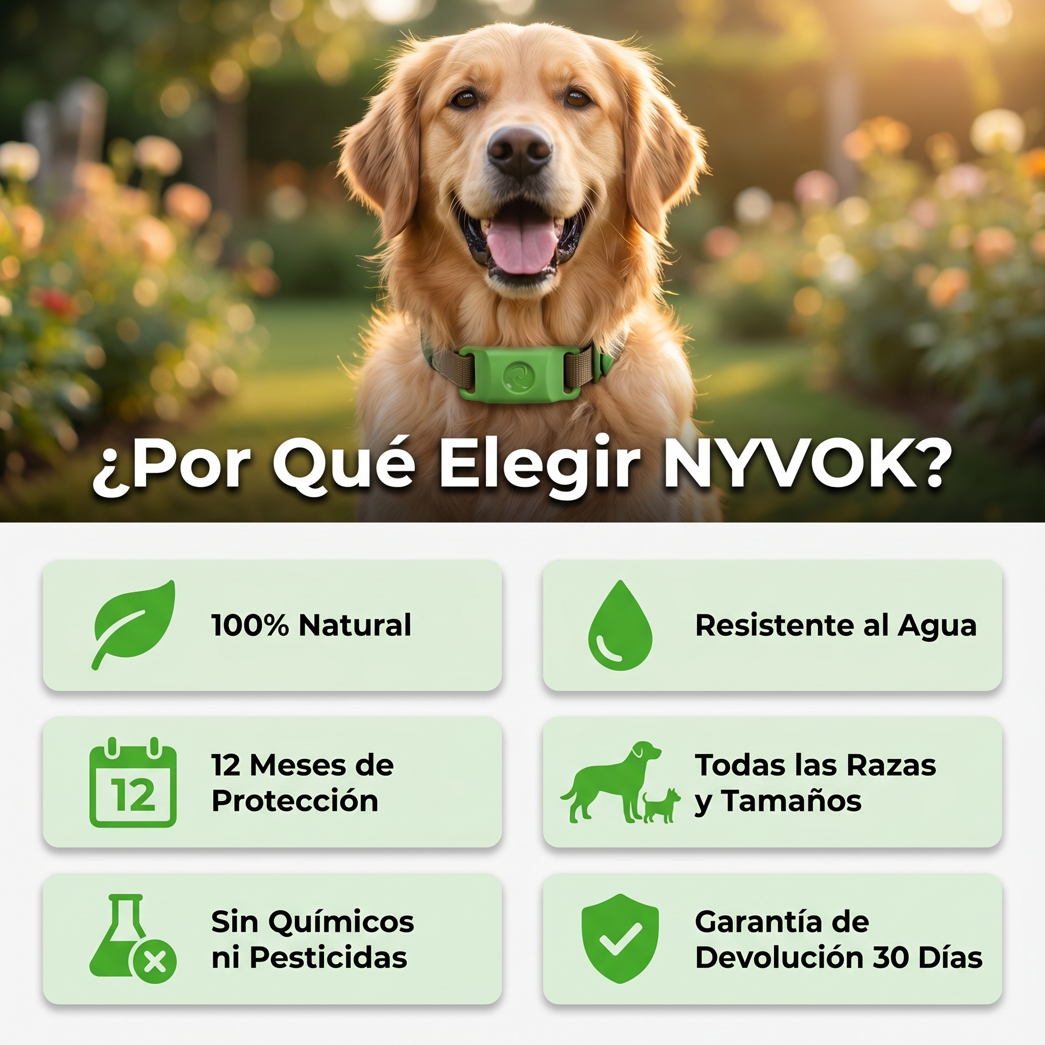 Medallón Antipulgas Para Perros - 12 Meses De Protección