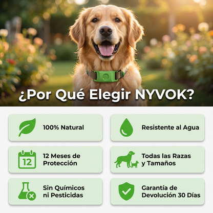Medallón Antipulgas Para Perros - 12 Meses De Protección