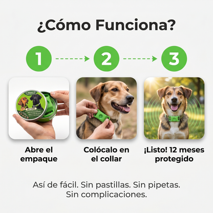 Medallón Antipulgas Para Perros - 12 Meses De Protección