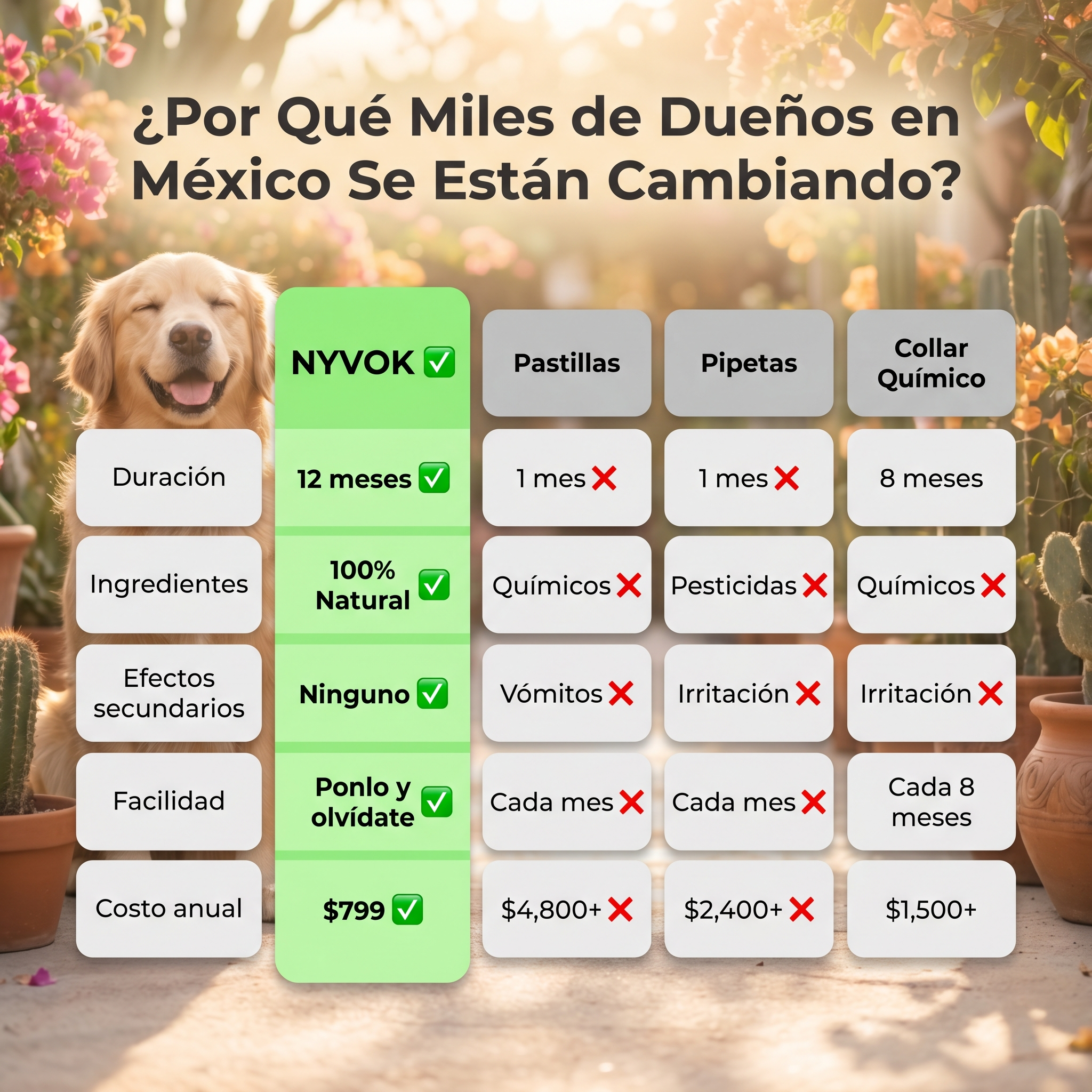 Medallón Antipulgas Para Perros - 12 Meses De Protección